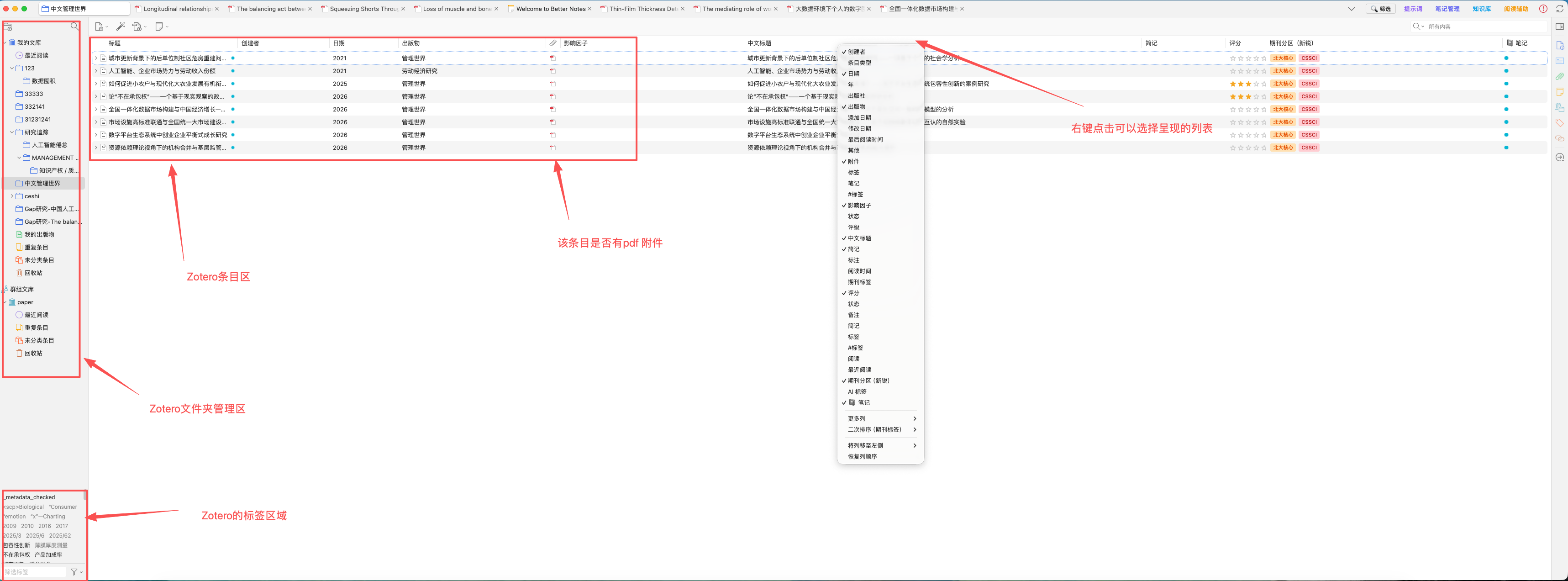 Zotero 文库视图